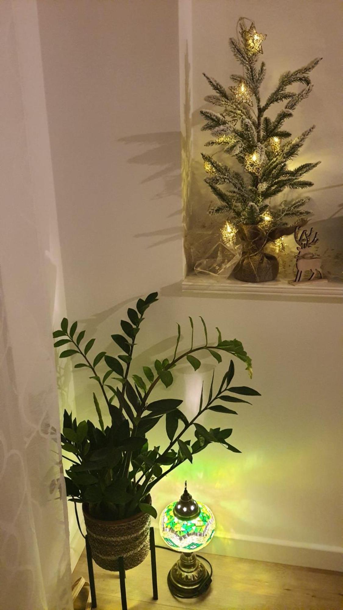 Apartman Lili Сплит Экстерьер фото