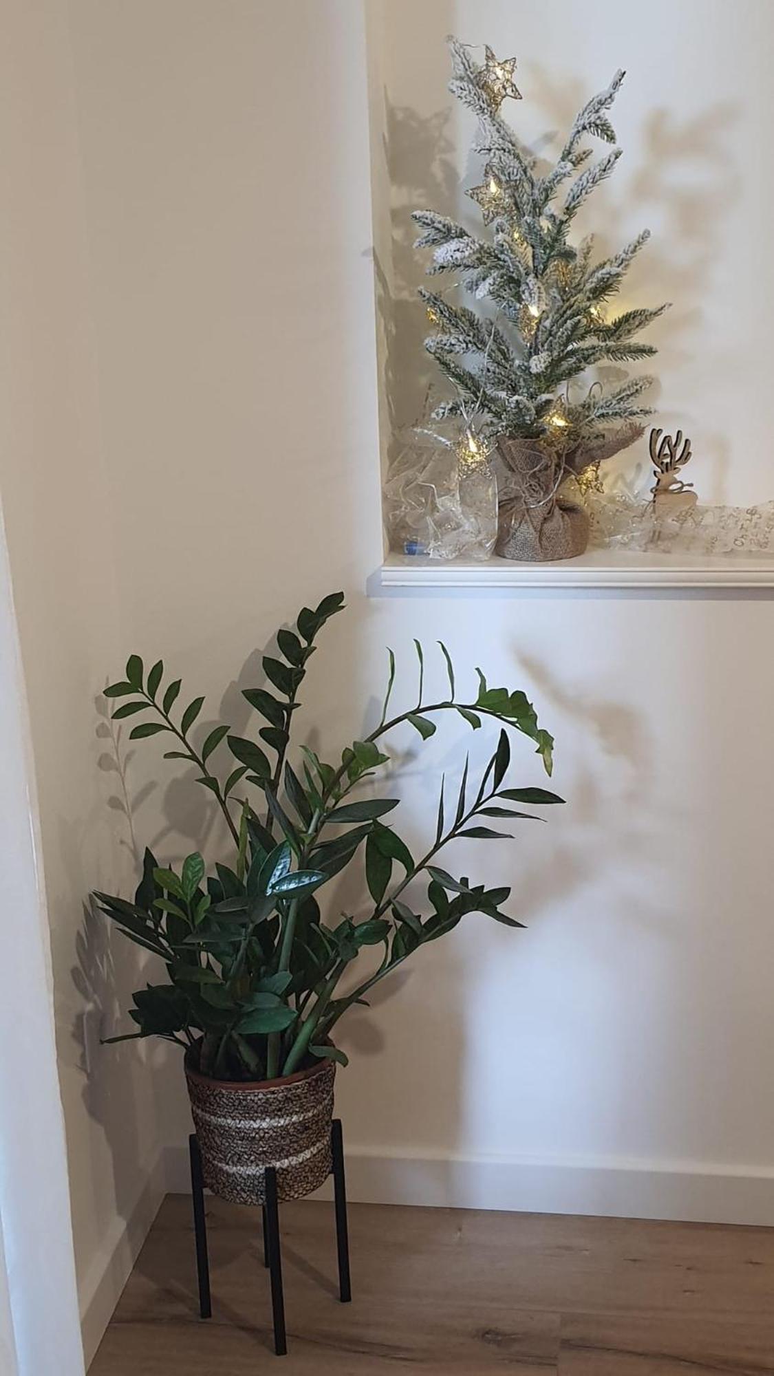 Apartman Lili Сплит Экстерьер фото